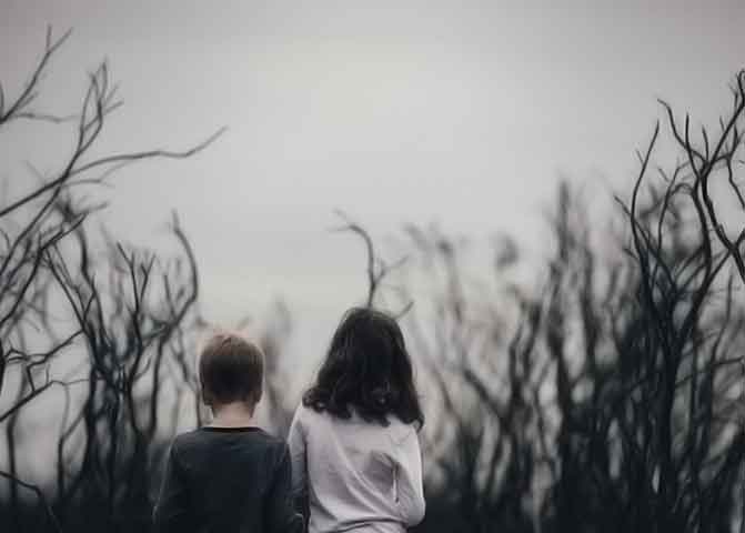 【专业版】功能强大的器测压文章